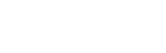 Zorro Financials